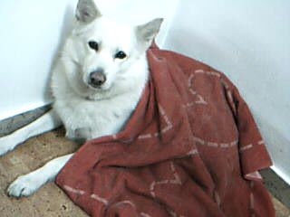 20071128214652-picture-1.jpg