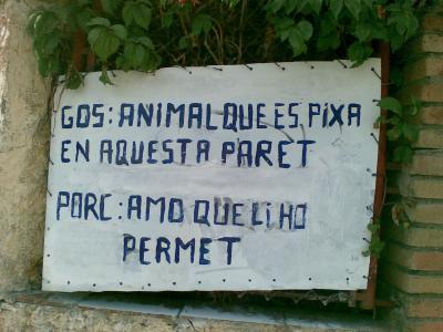 20080817221547-imagen027.jpg